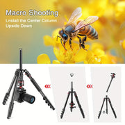 ZOMEI 78.7-inch/200cm Heavy-duty Aluminum Camera Tripod with Carrying Bag - Suitable for Projectors, Webcams, and Scopes