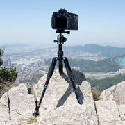 FM5S Portable Tripode Lightweight Travel Stand Tabletop Video Mini Tripod with 360 Degree Ball Head for Camera DSLR SLR