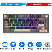 M75 RK ROYAL KLUDGE 2.4G Wireless/Bluetooth/USB-C Mechanical Keyboard 81Keys RGB Hot-Swappable Gasket Gamer Keyboard with Screen