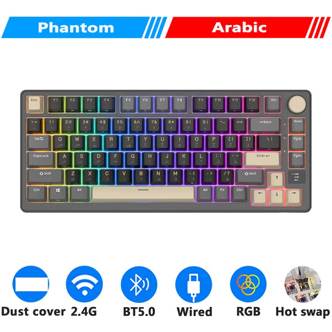 M75 RK ROYAL KLUDGE 2.4G Wireless/Bluetooth/USB-C Mechanical Keyboard 81Keys RGB Hot-Swappable Gasket Gamer Keyboard with Screen