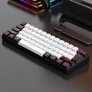 60% wired gaming keyboard, RGB backlight ultra compact mini keyboard, waterproof small compact 61 key keyboard for pc/Mac gamers